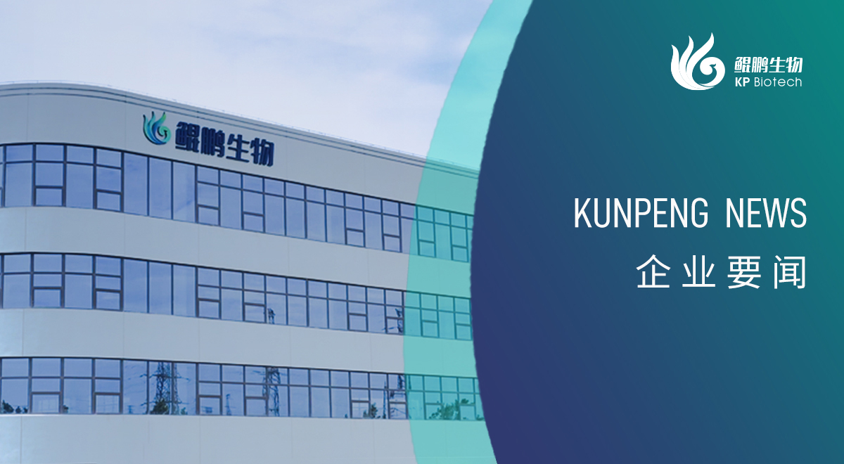 宁波熊猫新添两项政府荣誉认定 创新发展再获认可