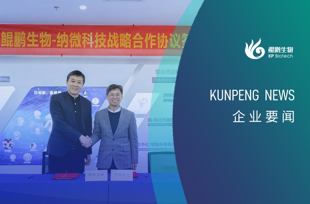 熊猫体育-联环集团“青苗计划”第一期干部能力提升专题培训班圆满举办